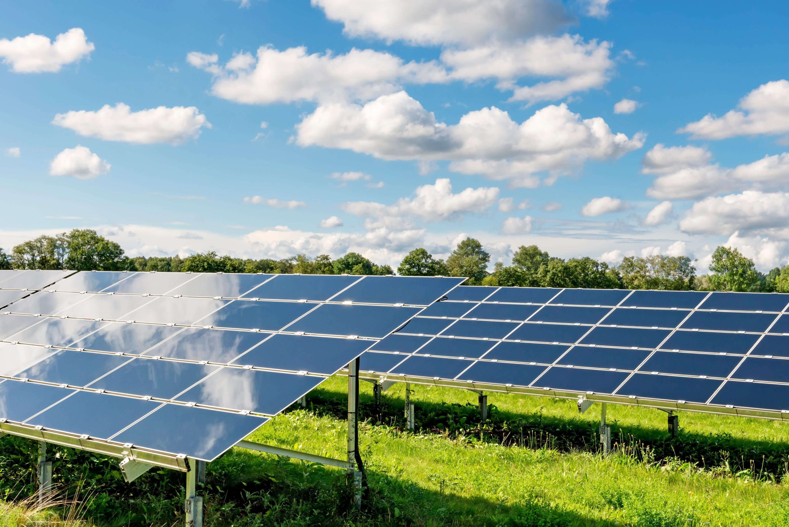 Photo inspiration: Fresh Look at Abegweit Community Solar Farm